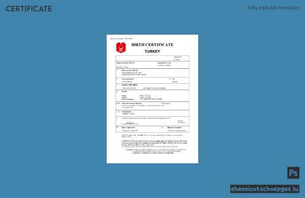 Türkische Geburtsurkunde im Word- und PDF-Format – Beispielvorschau